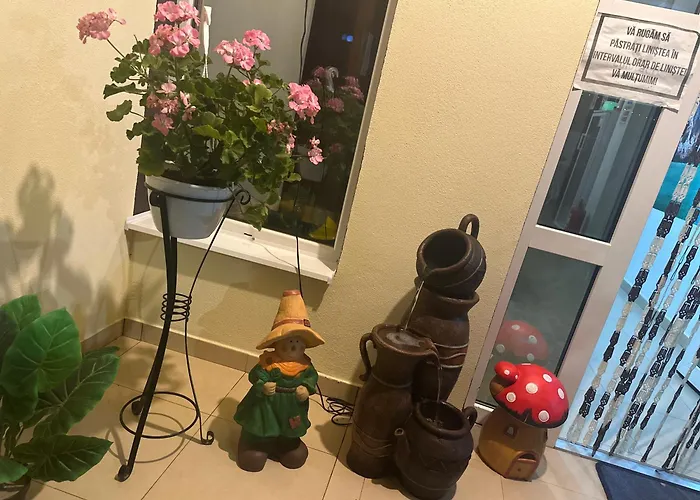 Naty Guest house Costinesti